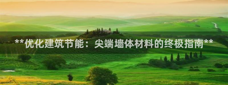 e尊国际网址：**优化建筑节能：尖端墙体材料的终极指南**