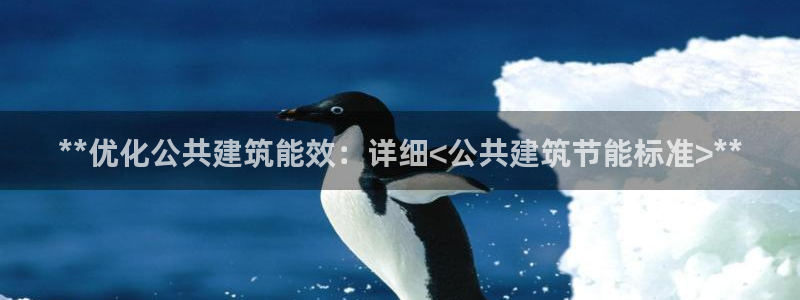 e尊国际是干什么的：**优化公共建筑能效：详细<公共建筑节能标准>**