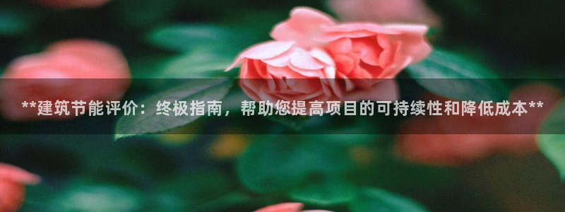 e尊国际-e尊国际官网：**建筑节能评价：终极指南，帮助您提高项目的可持续性和降低成本**