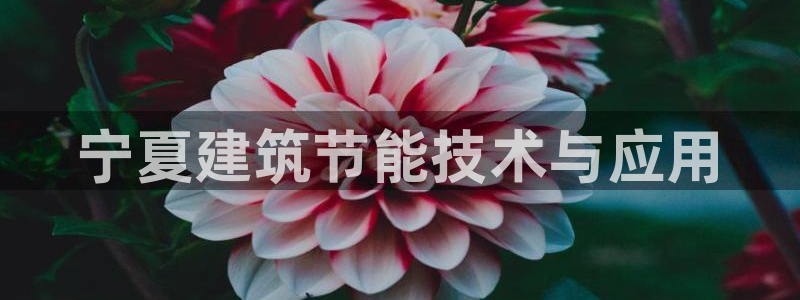 e尊国际7779：宁夏建筑节能技术与应用