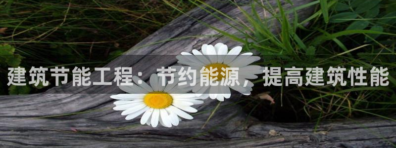 e尊国际网址：建筑节能工程：节约能源，提高建筑性能