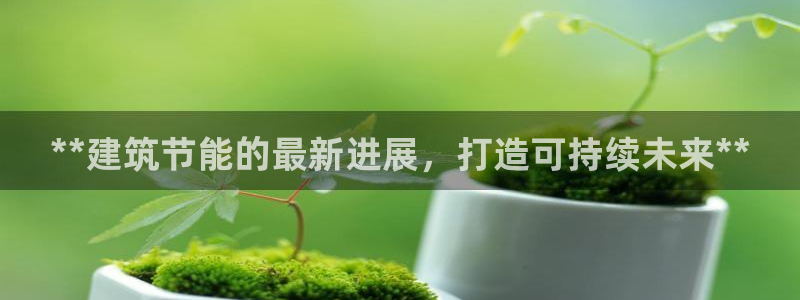 e尊国际app：**建筑节能的最新进展，打造可持续未来**
