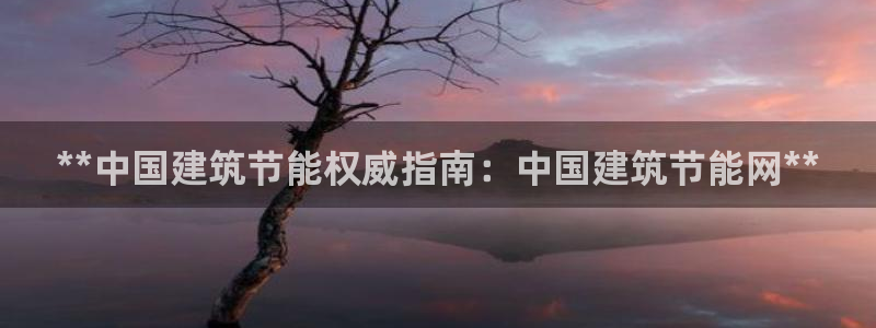 e尊国际娱乐官网下载：**中国建筑节能权威指南：中国建筑节能网**