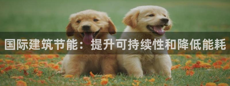 e尊国际地址：国际建筑节能：提升可持续性和降低能耗
