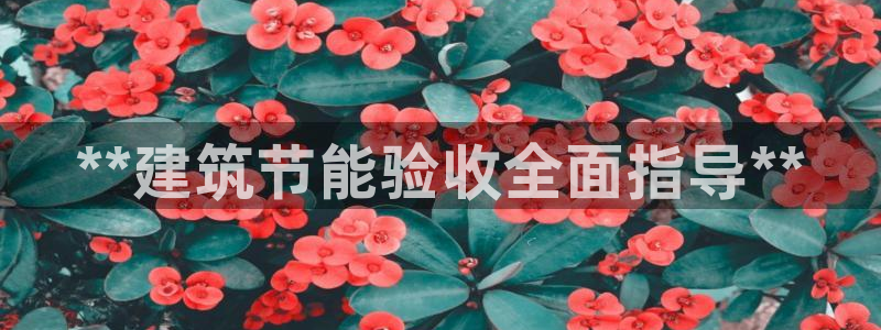 e尊国际客户端下载：**建筑节能验收全面指导**