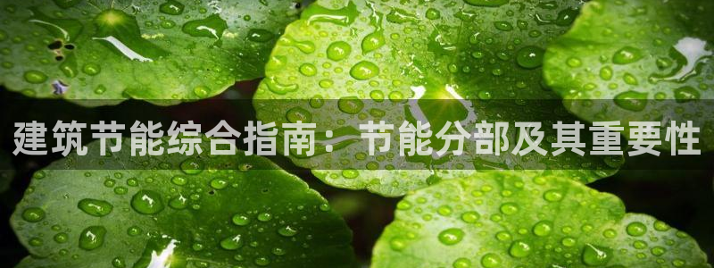 e尊国际客服：建筑节能综合指南：节能分部及其重要性
