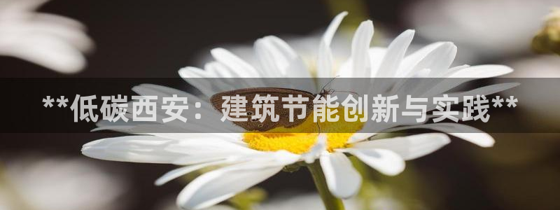 e尊国际app：**低碳西安：建筑节能创新与实践**