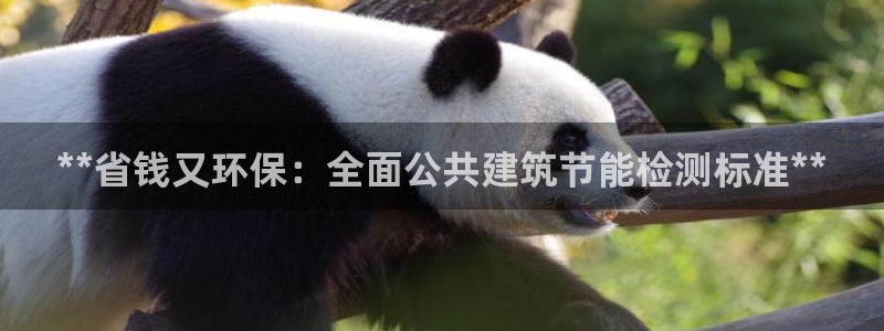 e尊国际网址：**省钱又环保：全面公共建筑节能检测标准**