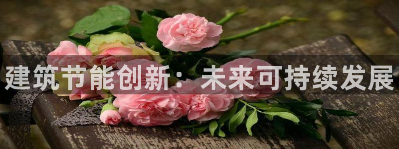 e尊国际官网：建筑节能创新：未来可持续发展
