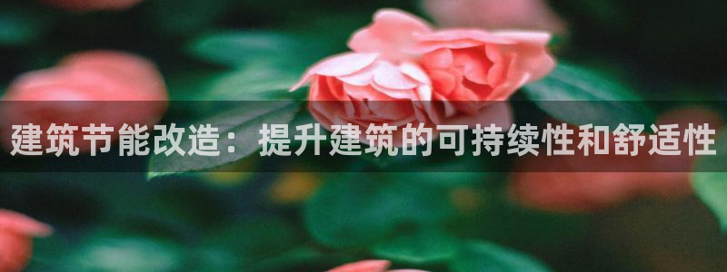 e尊国际官网app：建筑节能改造：提升建筑的可持续性和舒适性