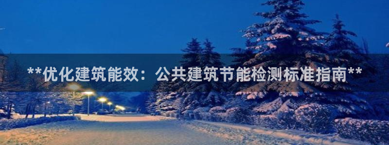 尊亿游戏国际官网：**优化建筑能效：公共建筑节能检测标准指南**