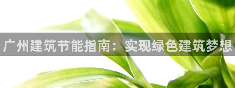 e尊体育：广州建筑节能指南：实现绿色建筑梦想