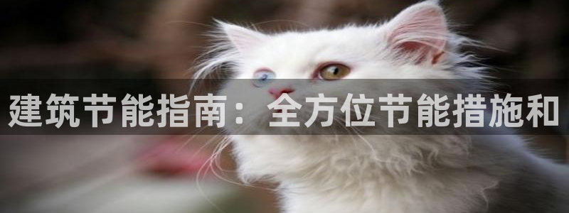 e尊国际官方网站：建筑节能指南：全方位节能措施和
