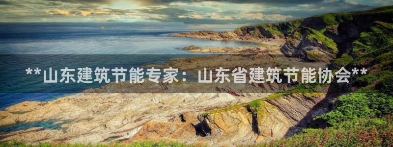 尊亿游戏国际官网：**山东建筑节能专家：山东省建筑节能协会**