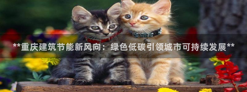e尊国际网址：**重庆建筑节能新风向：绿色低碳引领城市可持续发展**