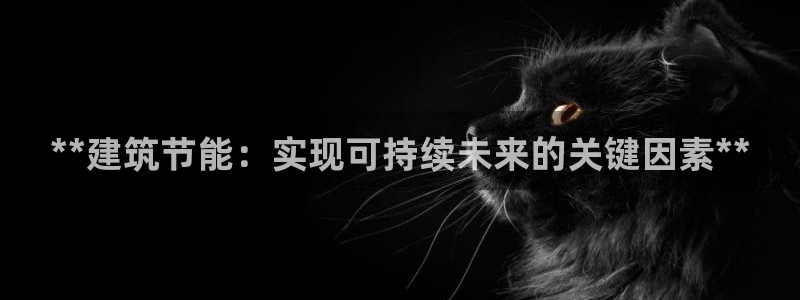 e尊国际客户端下载：**建筑节能：实现可持续未来的关键因素**