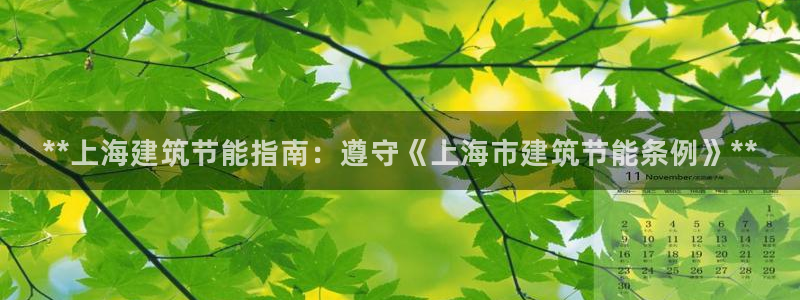 e尊国际官网：**上海建筑节能指南：遵守《上海市建筑节能条例》**