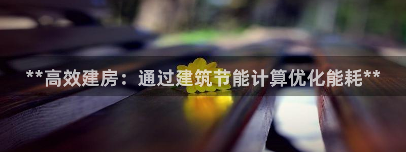 e尊国际-可可计划