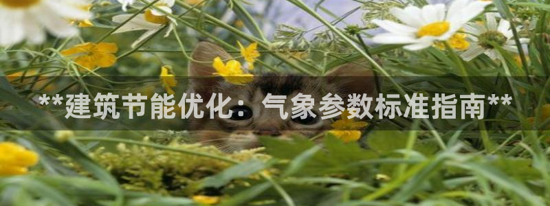 e尊国际客服：**建筑节能优化：气象参数标准指南**