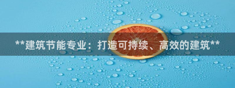 e尊电竞：**建筑节能专业：打造可持续、高效的建筑**