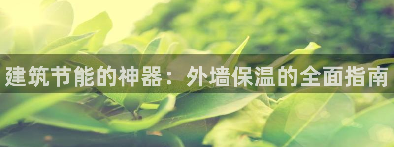 e尊国际客服：建筑节能的神器：外墙保温的全面指南