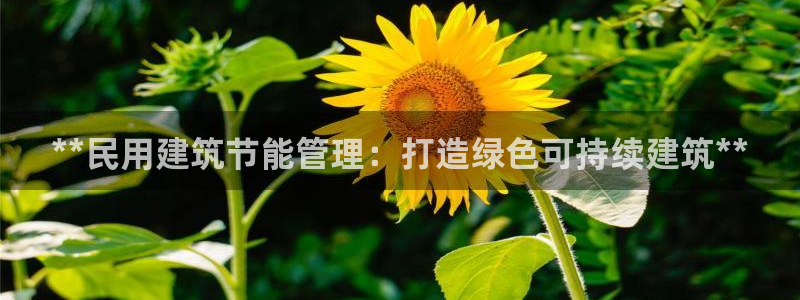 e尊电竞：**民用建筑节能管理：打造绿色可持续建筑**