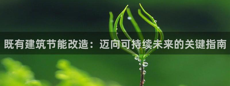 e尊国际官网app：既有建筑节能改造：迈向可持续未来的关键指南