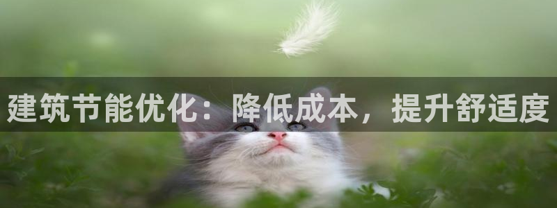 e尊国际可靠吗