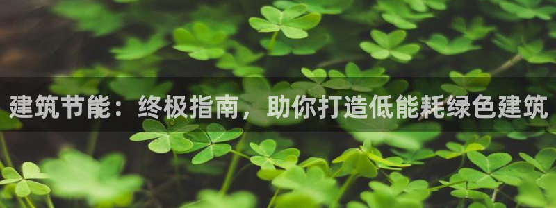 e尊国际官网·网址：建筑节能：终极指南，助你打造低能耗绿色建筑
