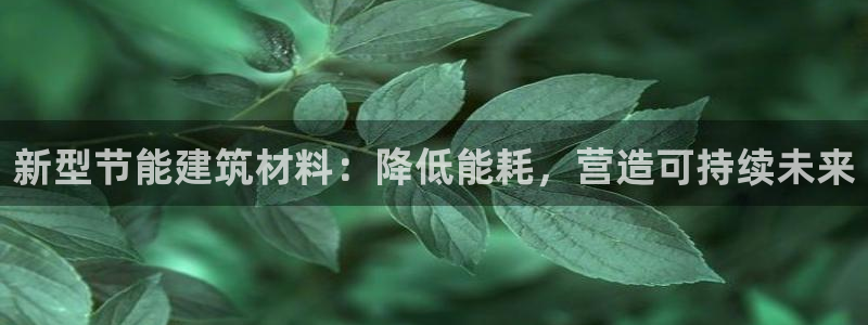 E尊国际网站：新型节能建筑材料：降低能耗，营造可持续未来