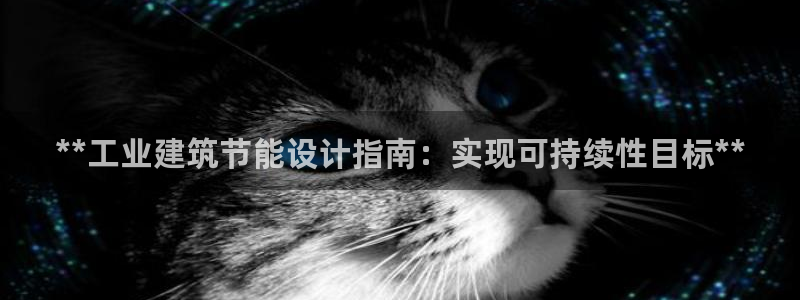 e尊国际客户端：**工业建筑节能设计指南：实现可持续性目标**