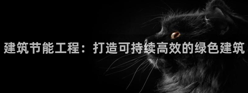 e尊国际-可可计划：建筑节能工程：打造可持续高效的绿色建筑