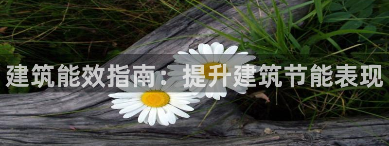 e尊国际的手机登录网站：建筑能效指南：提升建筑节能表现