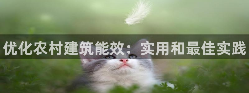 e尊国际平台：优化农村建筑能效：实用和最佳实践