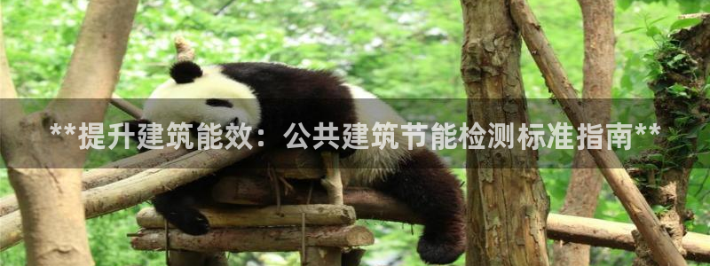 尊亿游戏国际官网：**提升建筑能效：公共建筑节能检测标准指南**