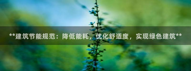 e尊国际娱乐官网地址：**建筑节能规范：降低能耗，优化舒适度，实现绿色建筑**