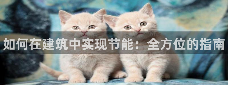 尊亿娱乐国际官网：如何在建筑中实现节能：全方位的指南