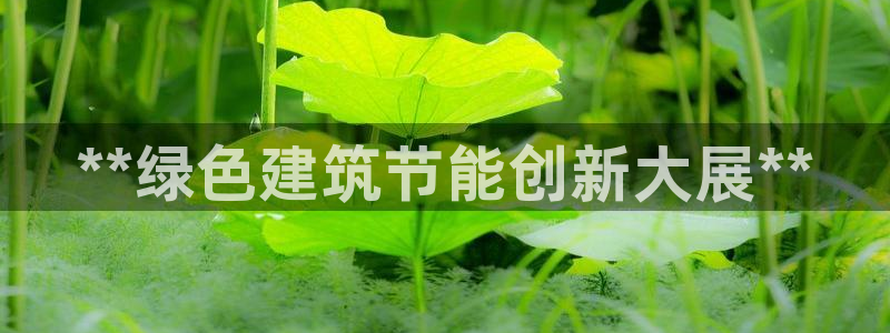 e尊国际官网app：**绿色建筑节能创新大展**