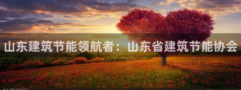 e尊电竞：山东建筑节能领航者：山东省建筑节能协会
