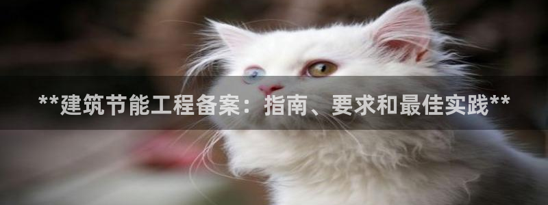 谁知道e尊国际的网址：**建筑节能工程备案：指南、要求和最佳实践**