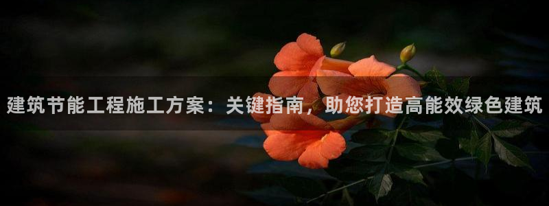 e尊国际的手机登录网站：建筑节能工程施工方案：关键指南，助您打造高能效绿色建筑