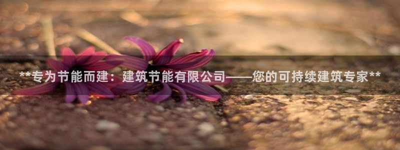 e尊国际-可可计划：**专为节能而建：建筑节能有限公司——您的可持续建筑专家**