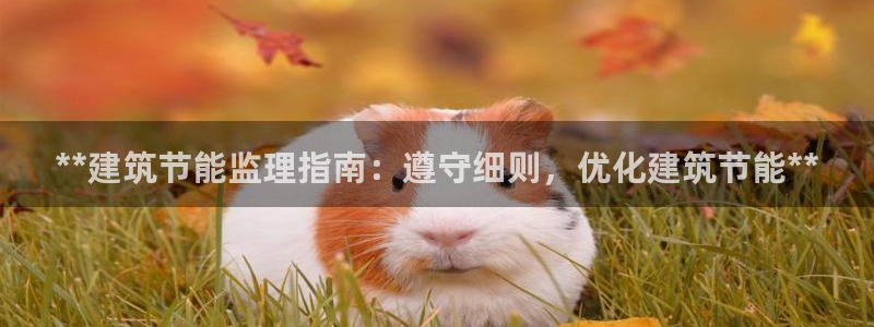 e尊国际-可可计划：**建筑节能监理指南：遵守细则，优化建筑节能**