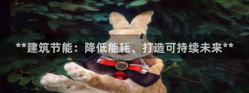 e尊国际可靠吗：**建筑节能：降低能耗、打造可持续未来**