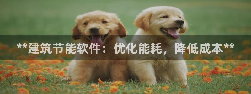 谁知道e尊国际的网址：**建筑节能软件：优化能耗，降低成本**