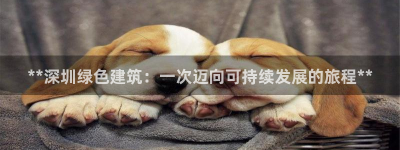 e尊国际是干什么的：**深圳绿色建筑：一次迈向可持续发展的旅程**