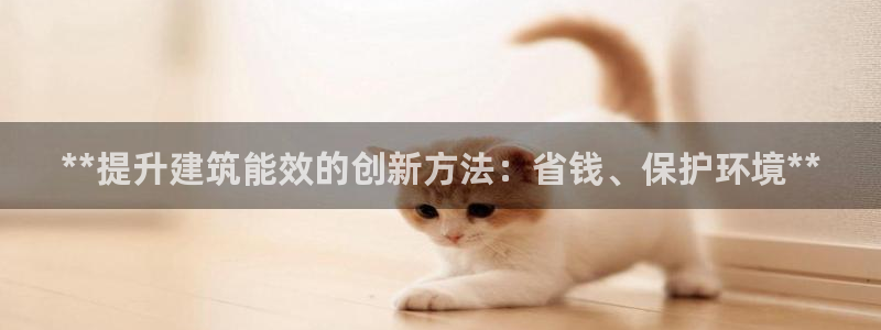 e尊电竞：**提升建筑能效的创新方法：省钱、保护环境**