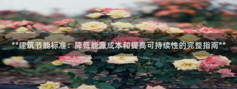 e尊国际官网·网址：**建筑节能标准：降低能源成本和提高可持续性的完整指南**