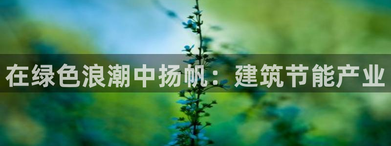 e尊官网：在绿色浪潮中扬帆：建筑节能产业
