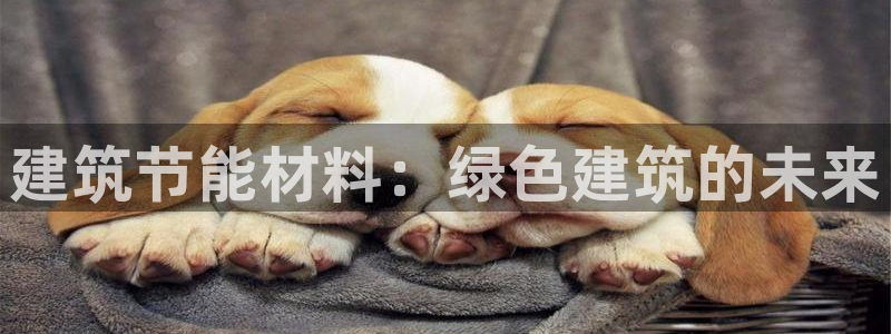 e尊国际官方网站：建筑节能材料：绿色建筑的未来